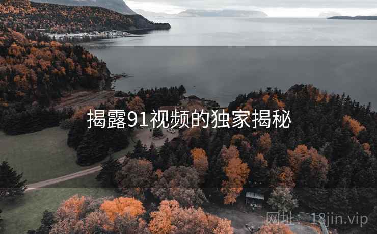 揭露91视频的独家揭秘