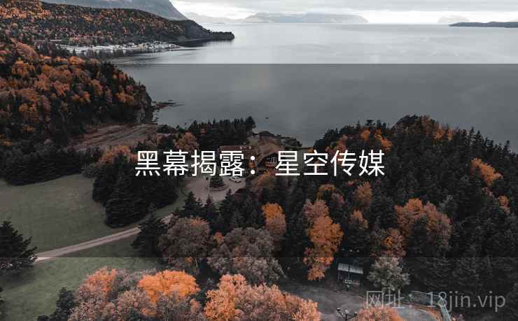黑幕揭露：星空传媒