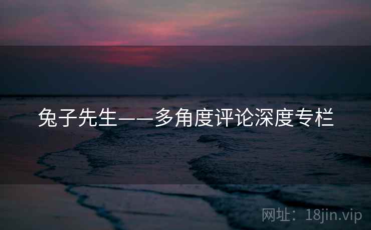 兔子先生——多角度评论深度专栏