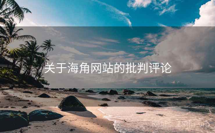 关于海角网站的批判评论