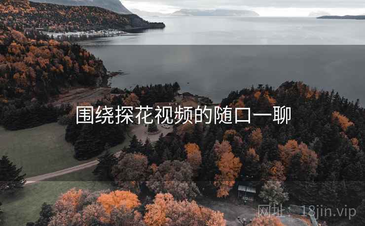 围绕探花视频的随口一聊