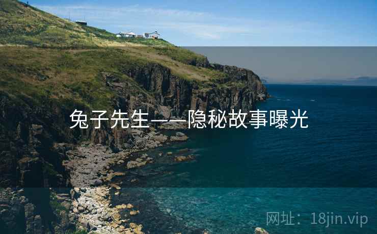 兔子先生——隐秘故事曝光