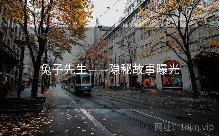 兔子先生——隐秘故事曝光