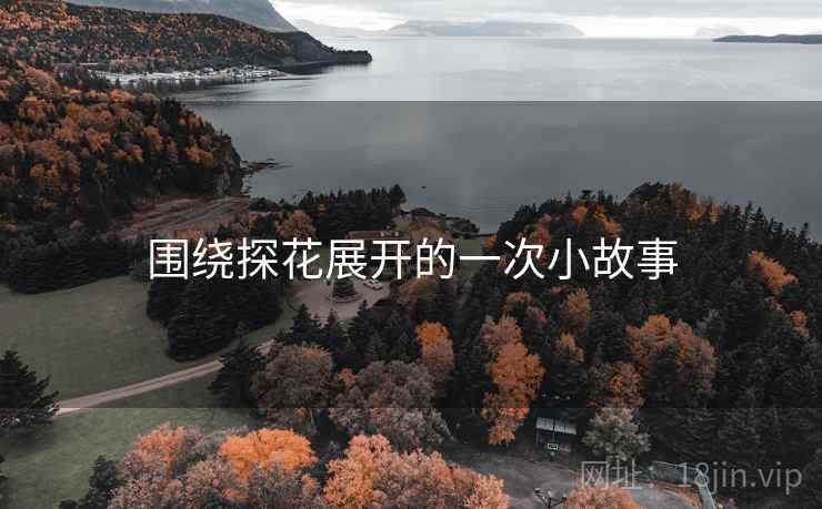 围绕探花展开的一次小故事