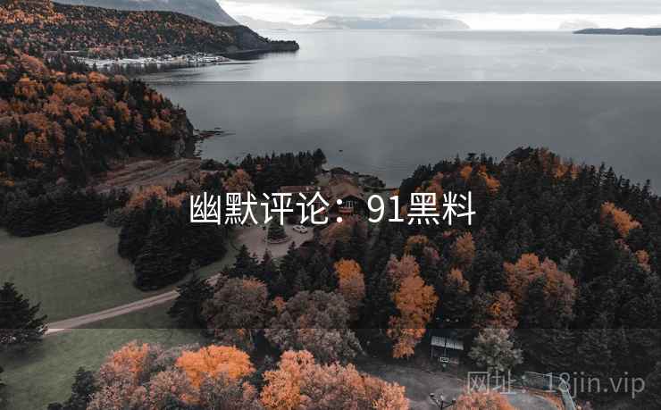 幽默评论：91黑料