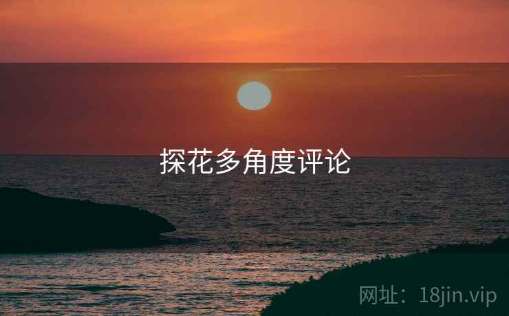 探花多角度评论