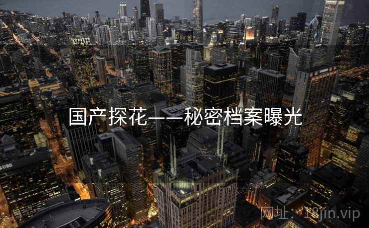 国产探花——秘密档案曝光