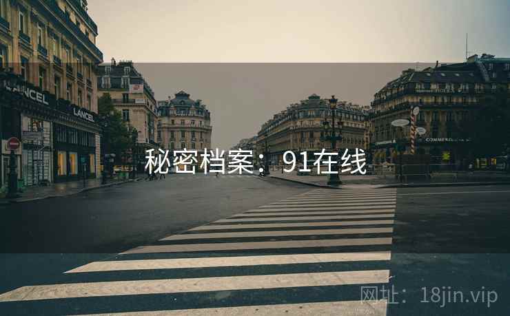 秘密档案：91在线