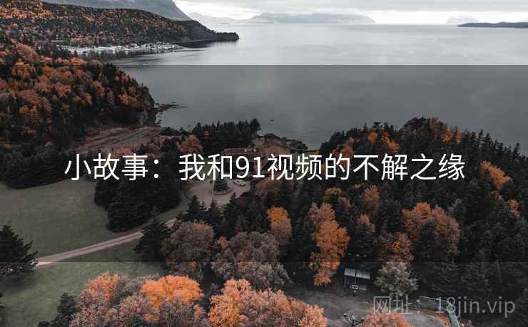 小故事：我和91视频的不解之缘
