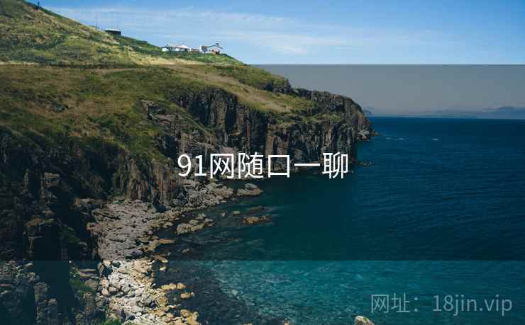91网随口一聊