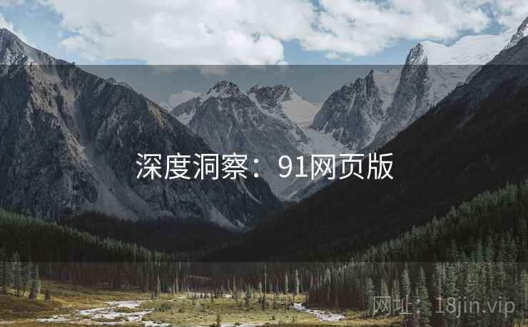深度洞察:91网页版