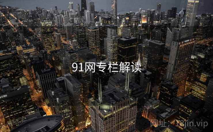 91网专栏解读