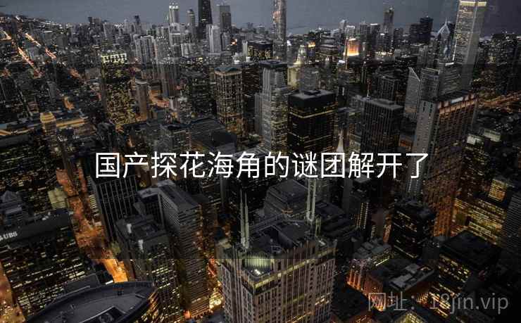 国产探花海角的谜团解开了