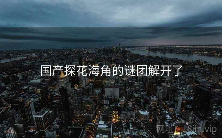 国产探花海角的谜团解开了