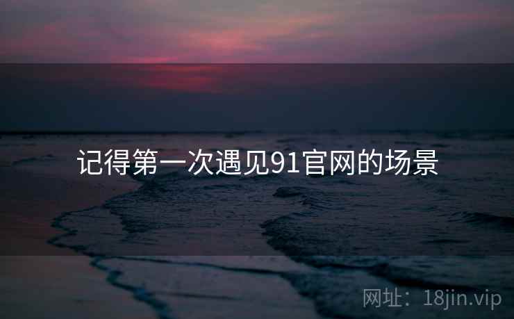 记得第一次遇见91官网的场景