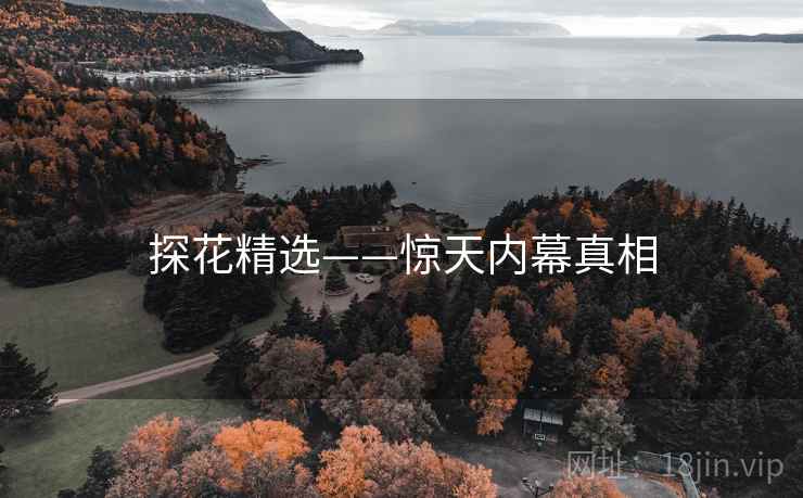 探花精选——惊天内幕真相