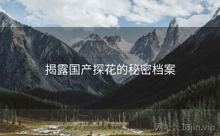 揭露国产探花的秘密档案