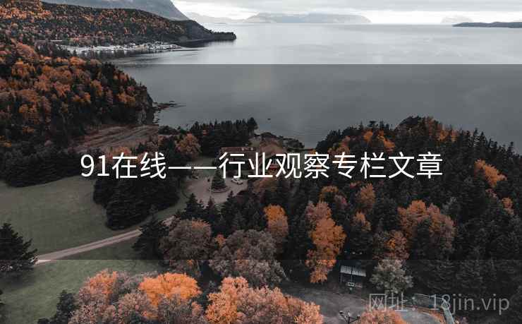 91在线——行业观察专栏文章