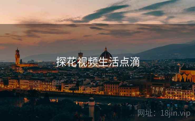 探花视频生活点滴