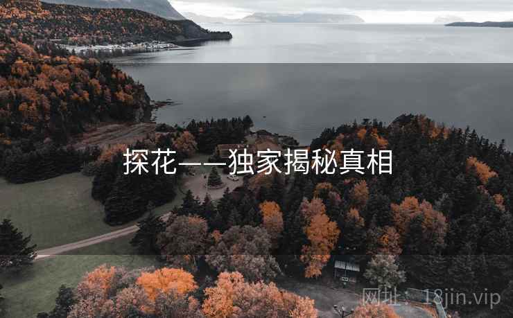 探花——独家揭秘真相