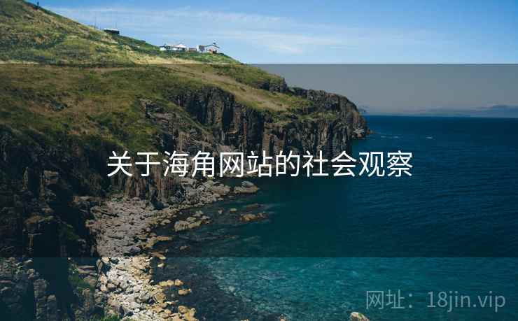 关于海角网站的社会观察