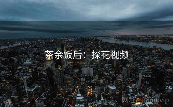 茶余饭后:探花视频
