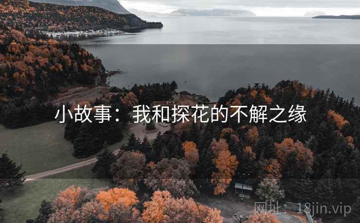 小故事:我和探花的不解之缘