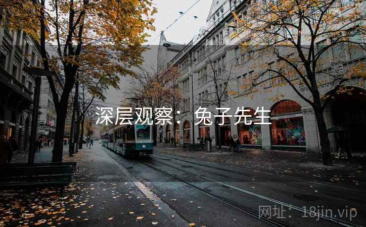 深层观察:兔子先生