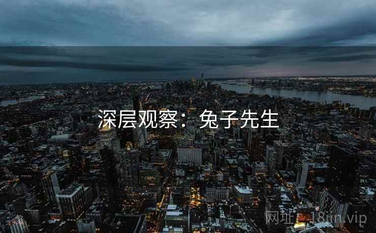深层观察:兔子先生